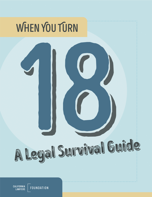 Cover of When Your Turn 18 - A Legal Survival Guide